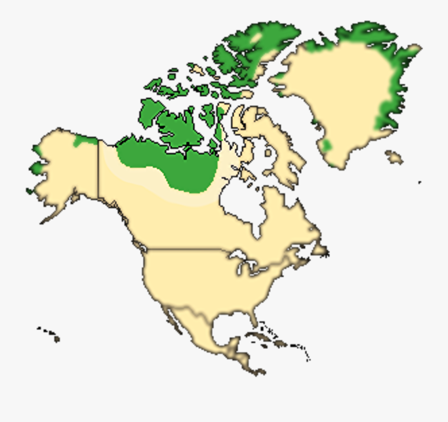 Arctic Tundra Map Location, Transparent Clipart