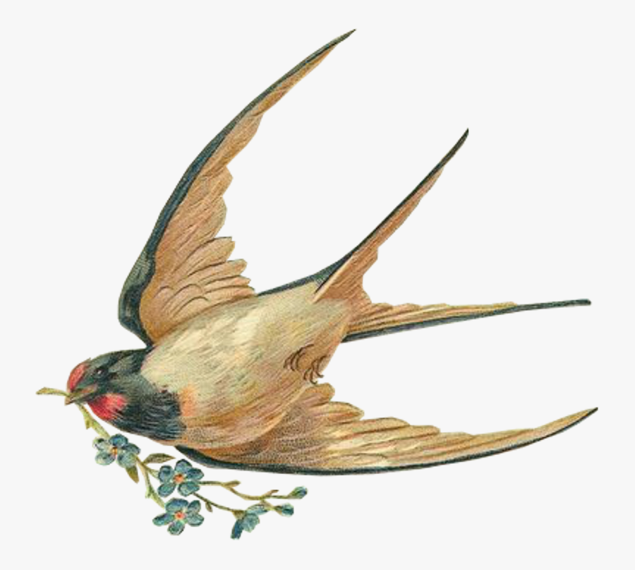 Мир Вам Благословений Божьей Охраны Вам, Transparent Clipart