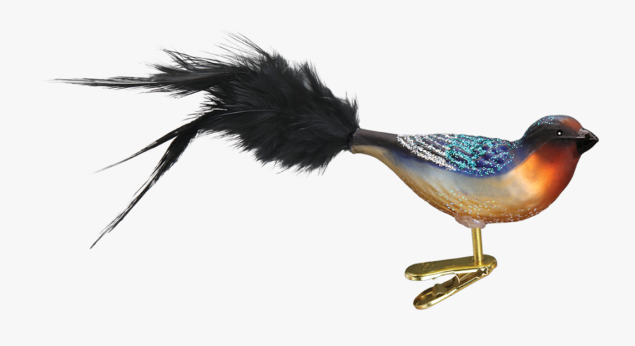 Barn Swallow Png Transparent Hd Photo - Portable Network Graphics, Transparent Clipart