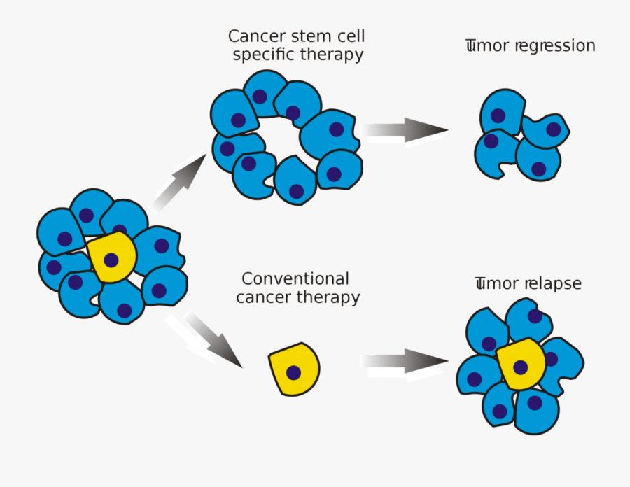 Cancer Cells After Chemotherapy, Transparent Clipart