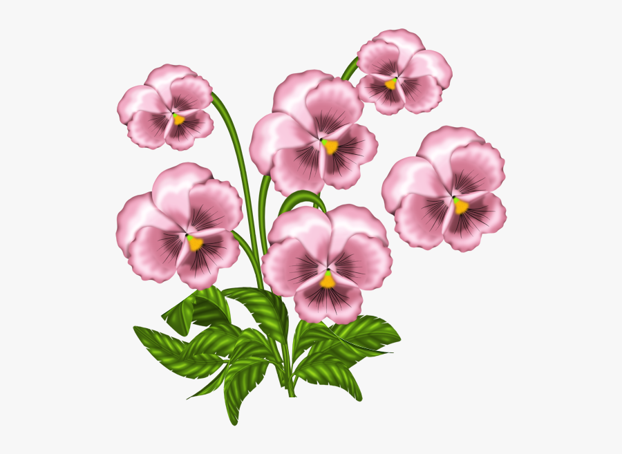 Daffodil Clipart Pumpkin Flower - African Violet Flower Art, Transparent Clipart