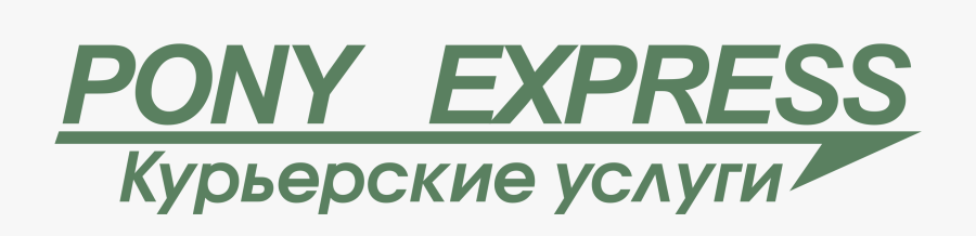 Optical Shop, Transparent Clipart