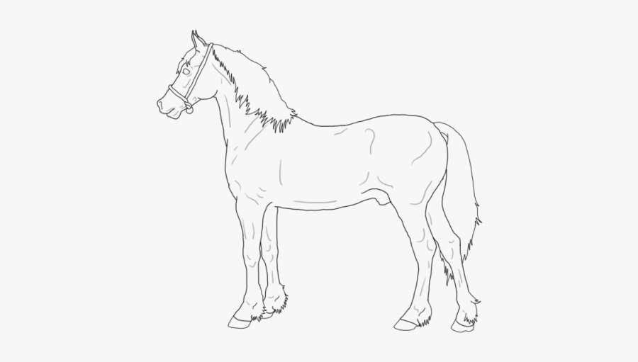 Line Art, Transparent Clipart