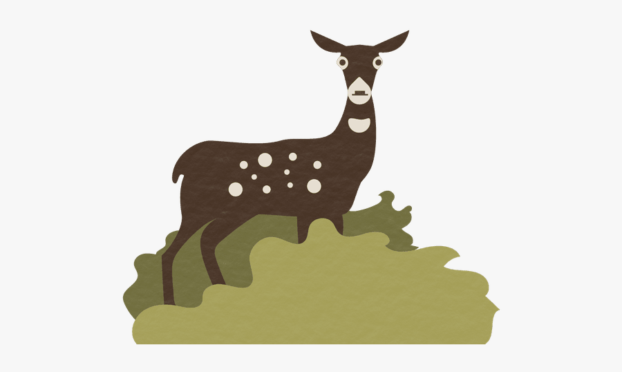 Iguana Clipart Wild Animal - Evolution Of Animals Png, Transparent Clipart