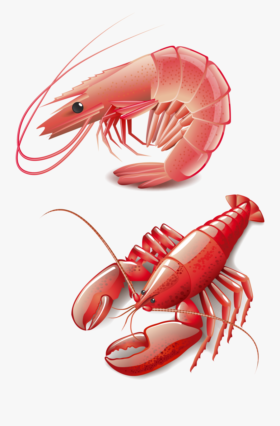 Lobster Clipart Cooked - Gambar Lobster Animasi, Transparent Clipart