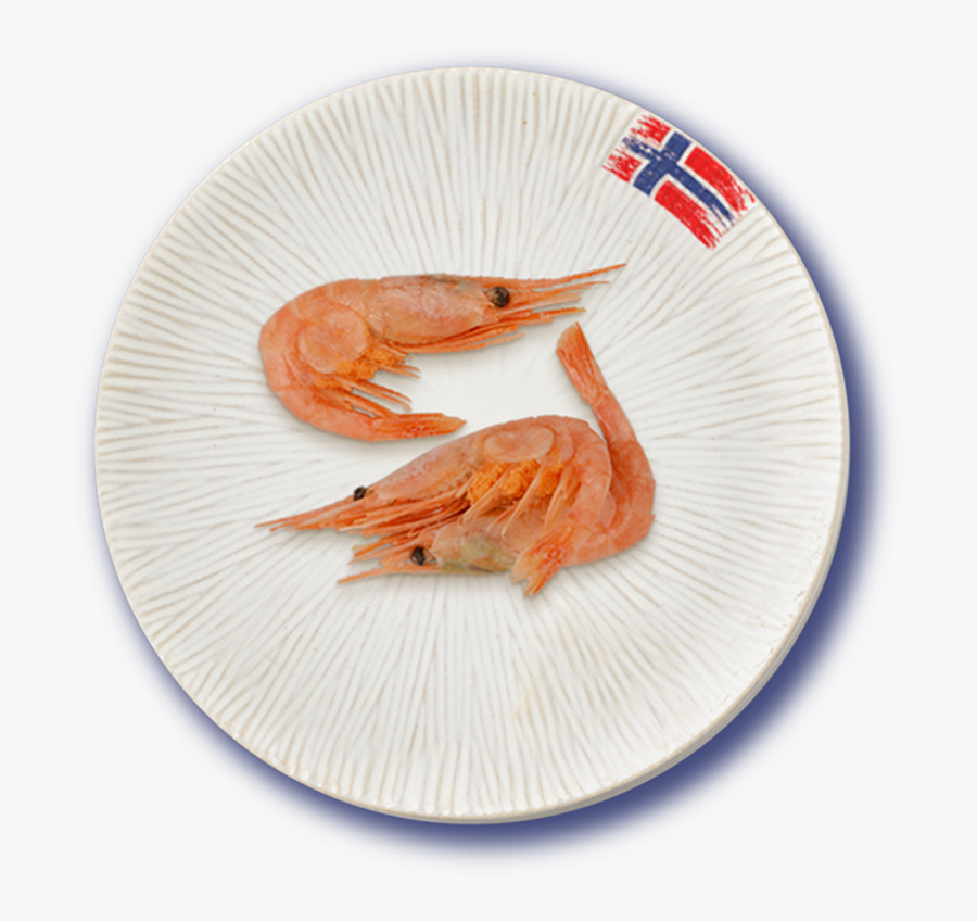 Seafood Clipart Brine Shrimp - Botan Shrimp, Transparent Clipart