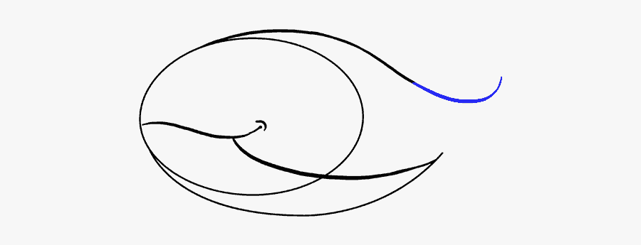 How To Draw Whale - Line Art, Transparent Clipart