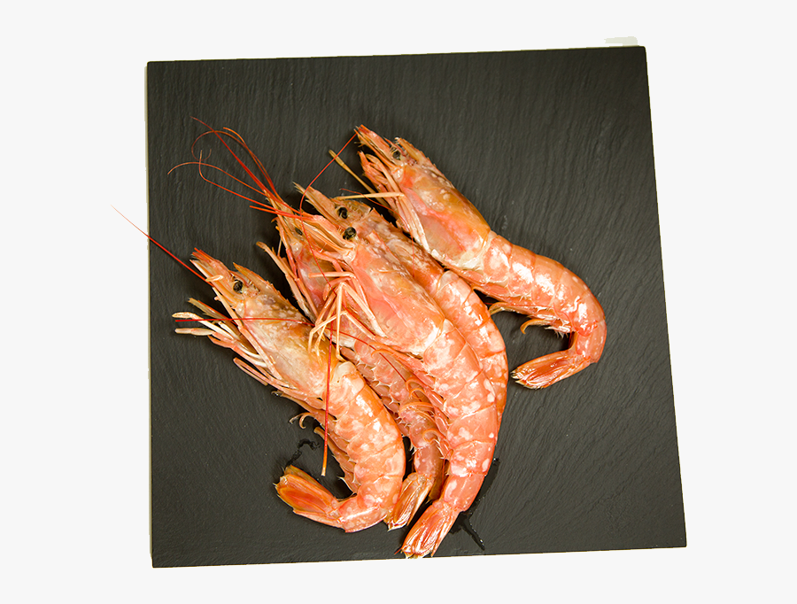 Clip Art Prawns Image - Different Types Of Prawns, Transparent Clipart