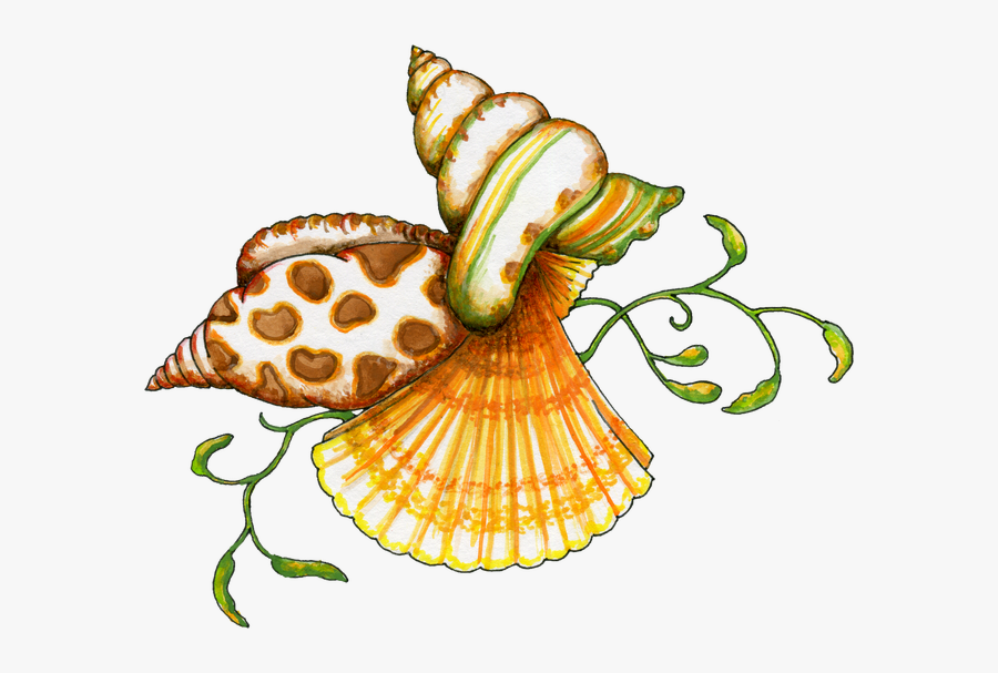 Transparency - Clipart - Sea Shells Clip Art, Transparent Clipart
