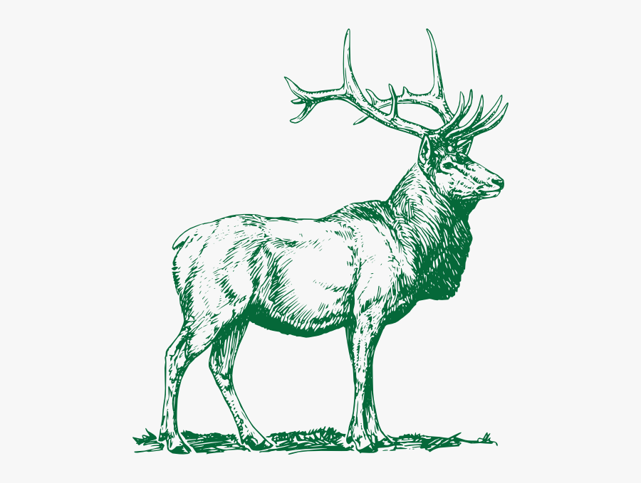 Clip Art Elk, Transparent Clipart
