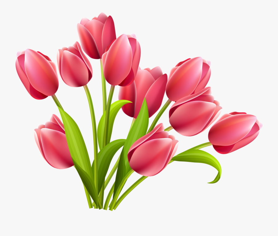 Tulips Clipart Png, Transparent Clipart