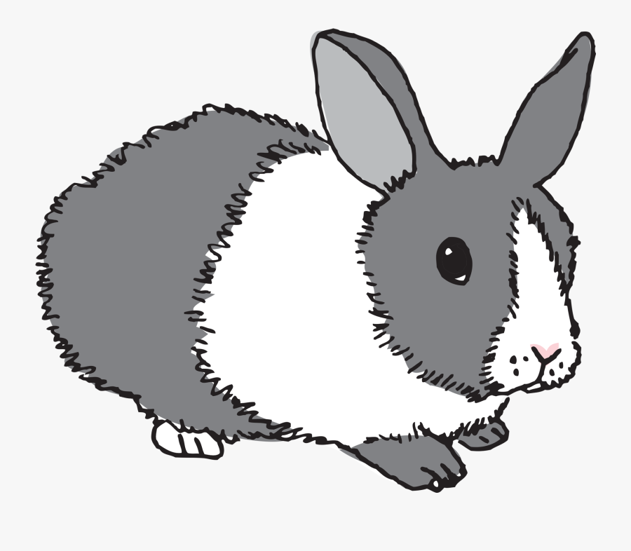 Clip Art By Julia Rothman From - Bunny, Transparent Clipart
