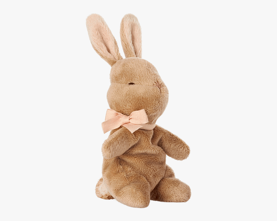 Clip Art Bunny Image - My First Baby Bunny, Transparent Clipart