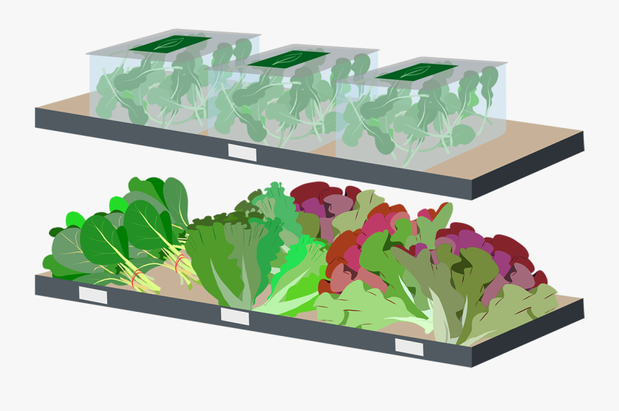 Tree, Transparent Clipart
