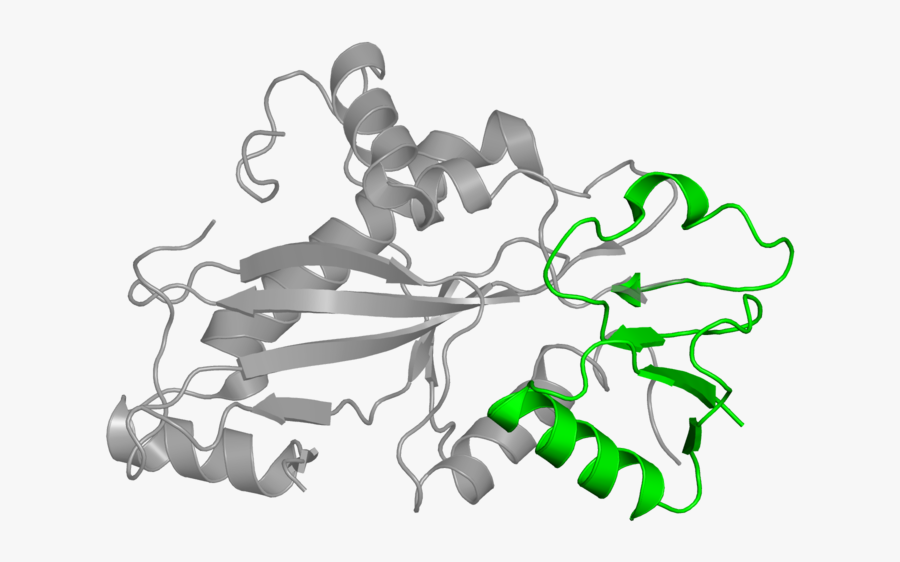 <div Class="caption-body - Graphic Design, Transparent Clipart