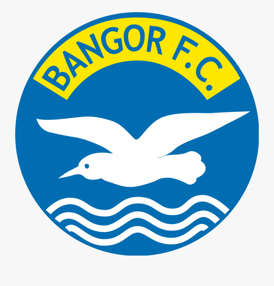 Nicky Davidson, Chairman Of Bangor Football Club, Will - Bangor Fc Northern Ireland, Transparent Clipart