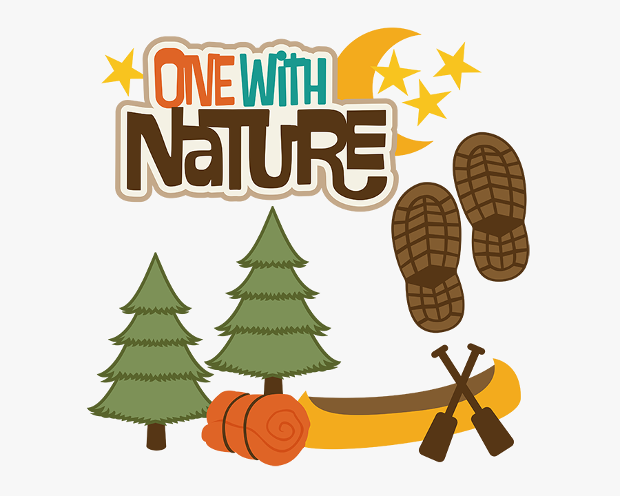 Christmas Tree, Transparent Clipart