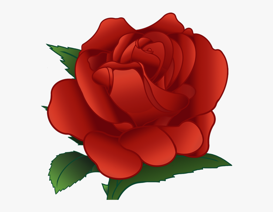 Thumb Image - Garden Roses, Transparent Clipart