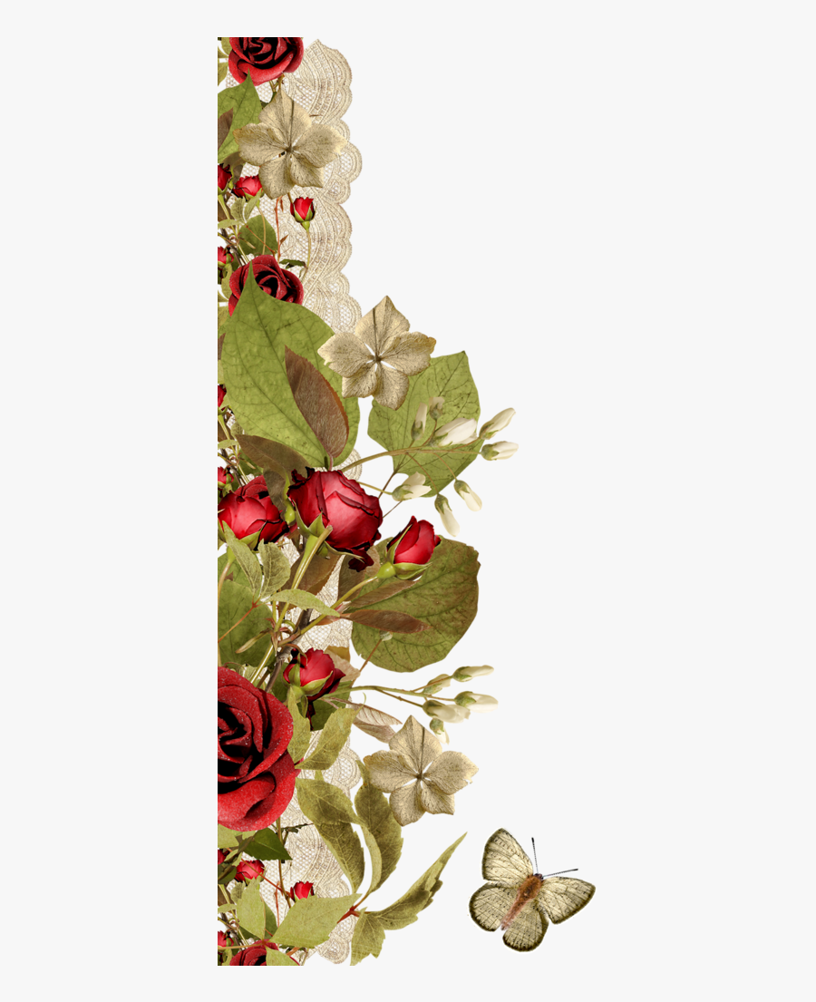 Borders * Cantoneiras * Cluster - Picture Frame, Transparent Clipart