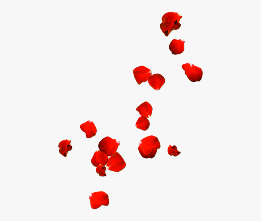 Rose Valentines Drift Petals Petal Day Clipart - Transparent Background Rose Petals Png, Transparent Clipart