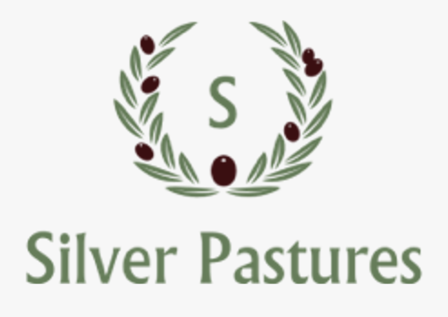 Club Naval Norte Entrada, Transparent Clipart