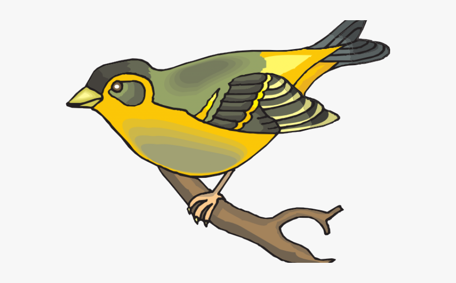 Finch Clipart, Transparent Clipart