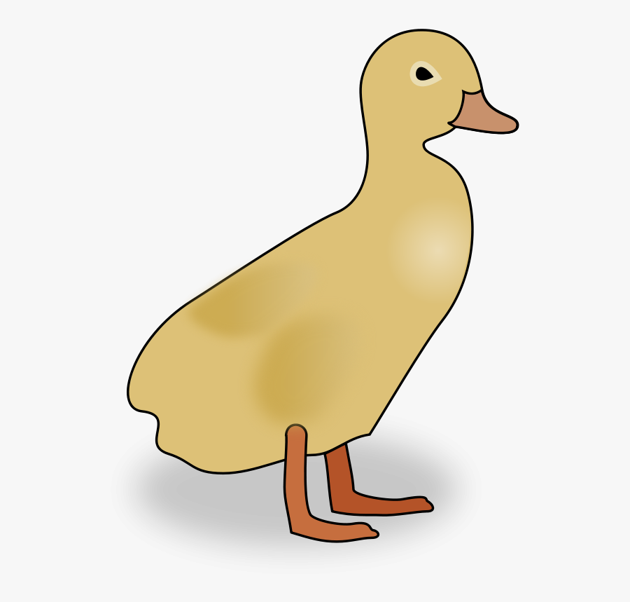 Clip Art, Transparent Clipart