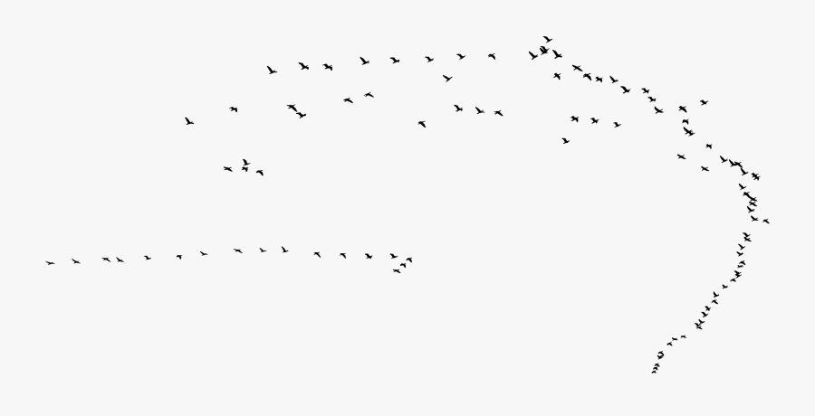 Flock, Transparent Clipart