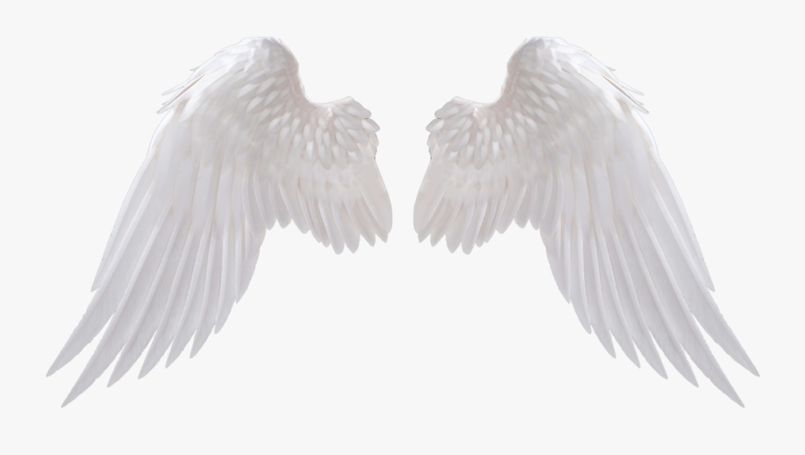 White Angel Wing Png, Transparent Clipart
