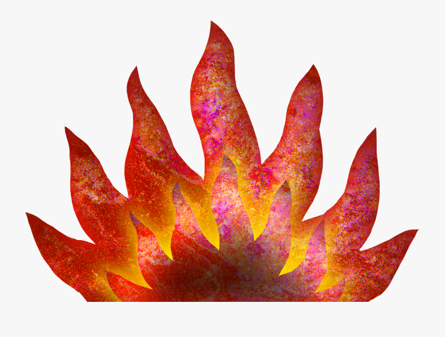 Floral Design, Transparent Clipart