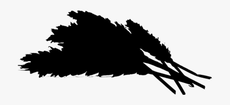 Black & White - Illustration, Transparent Clipart