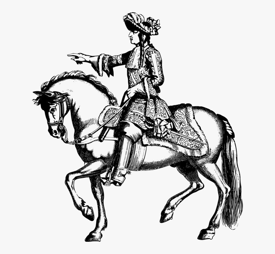 English Riding,art,horse Tack - Napoleon On Horse Drawing, Transparent Clipart