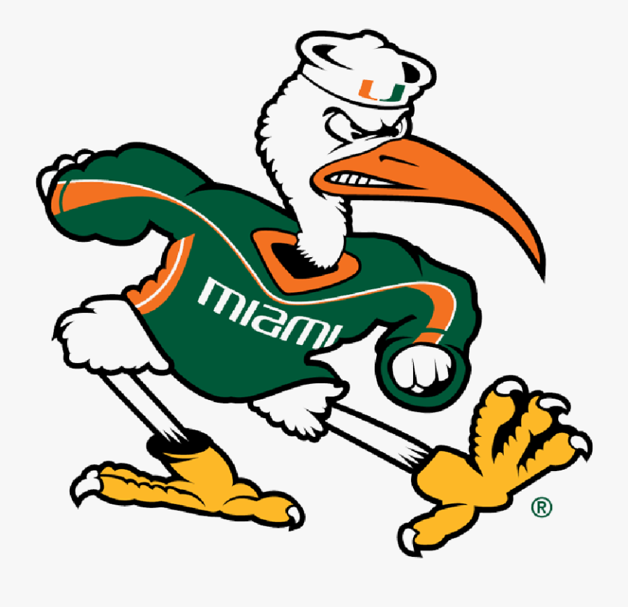 University Of Miami - Hurricanes Miami, Transparent Clipart