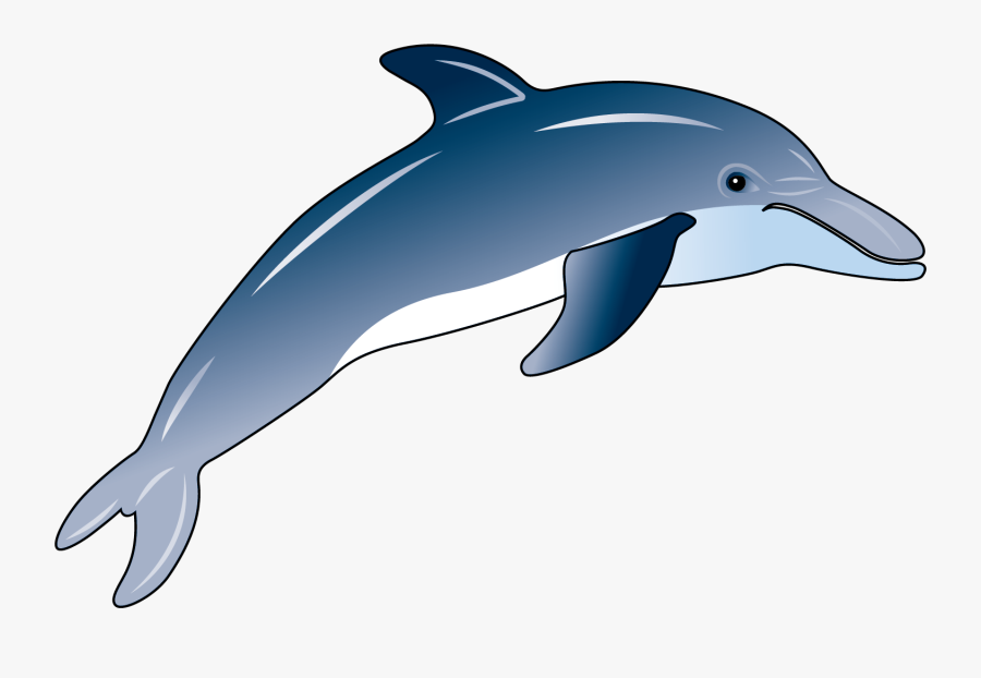 Transparent Dolphin Clipart Png - Common Bottlenose Dolphin, Transparent Clipart