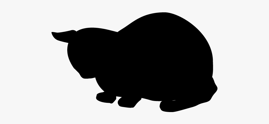 Cat, Transparent Clipart