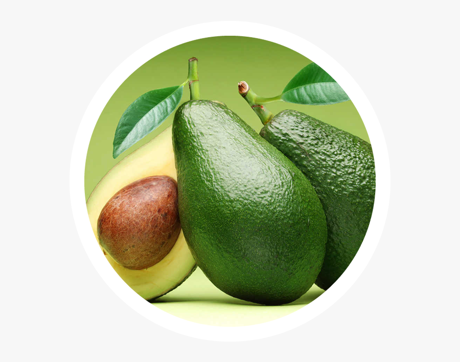 Boost Metabolism And Lose Weight Essentials , Png Download - South African Avocado Ripe, Transparent Clipart