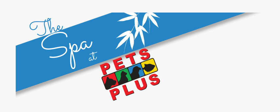 Graphic Design, Transparent Clipart