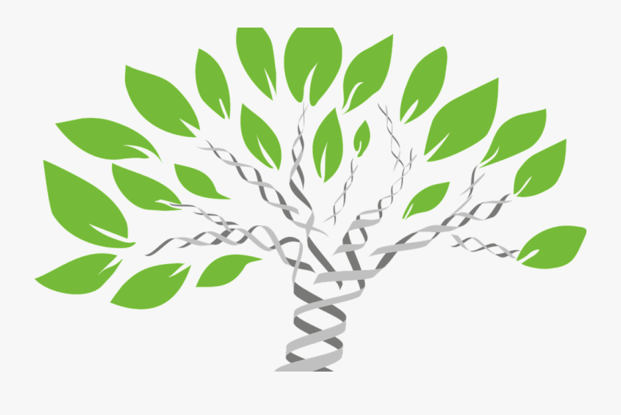 Ics / Iiot Market Segmentation Needed So We Can Communicate - New Inventions In Biology 2019, Transparent Clipart