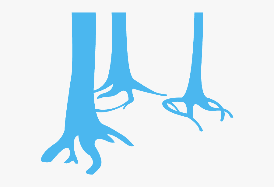 Silueta De Tronco De Arbol, Transparent Clipart