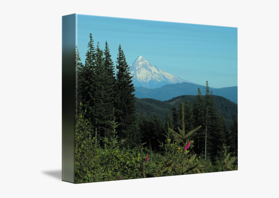 Clip Art Mt Hood Images - Summit, Transparent Clipart