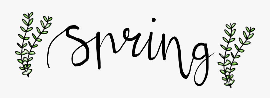 Spring Writing Calligraphy Scspring Freetoedit - Calligraphy, Transparent Clipart