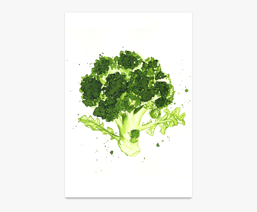 Clip Art Poster Br Colis De - Broccoli, Transparent Clipart