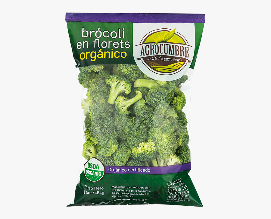 Vegetable,aquarium Decor,cruciferous - Moss, Transparent Clipart