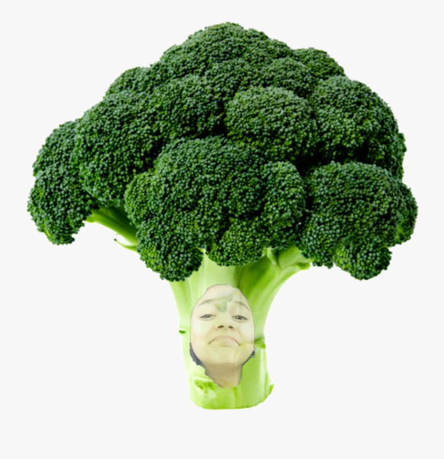 Broccoli, Transparent Clipart