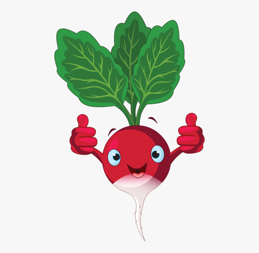 Radish Clipart, Transparent Clipart