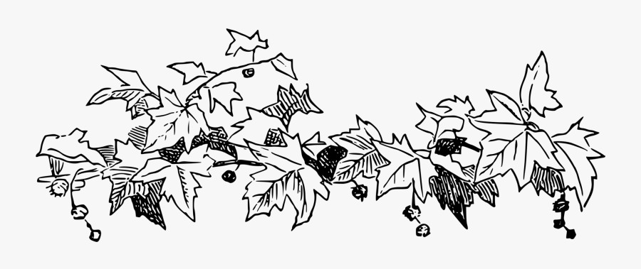 Drawing Rivers Black And White - Illustration, Transparent Clipart