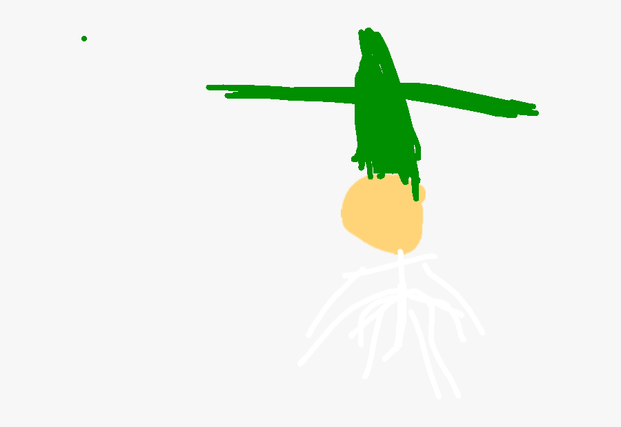 Plant Life Cycle Tynker - Illustration, Transparent Clipart