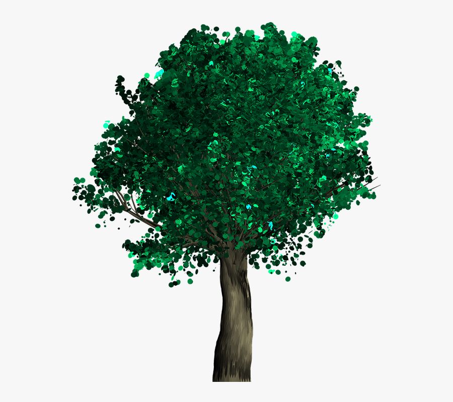 Transparent Forest Path Clipart - Tree, Transparent Clipart