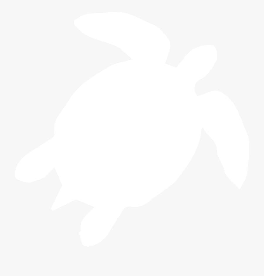 Donate Now To Help Us Spread The Word - Kemp's Ridley Sea Turtle, Transparent Clipart