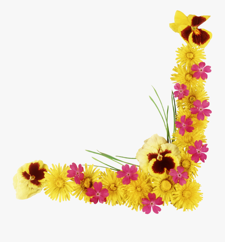 Yellow Flower Frame Png Clipart , Png Download - Frame Png Floral, Transparent Clipart